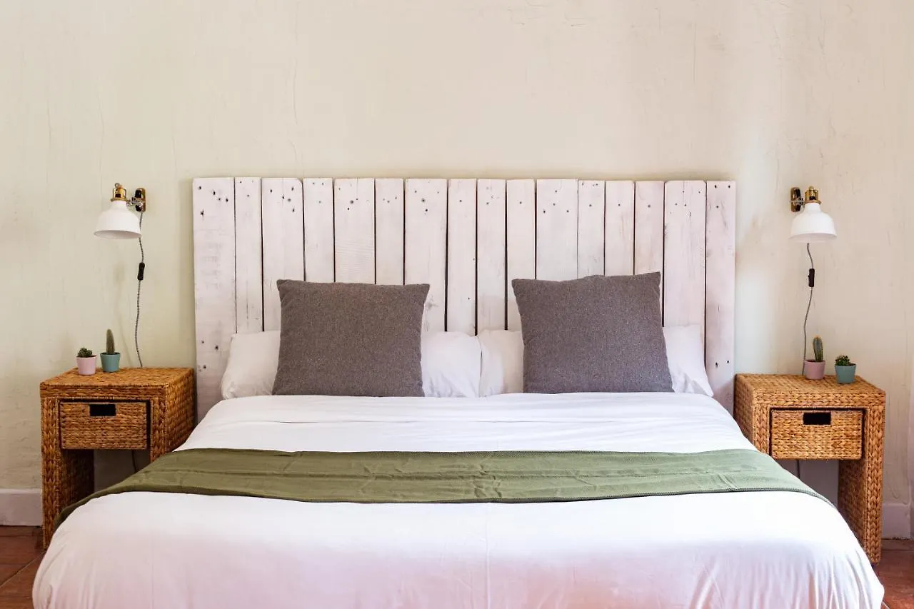 Barbatuke - Art & Hostel 0*, Malaga Spain